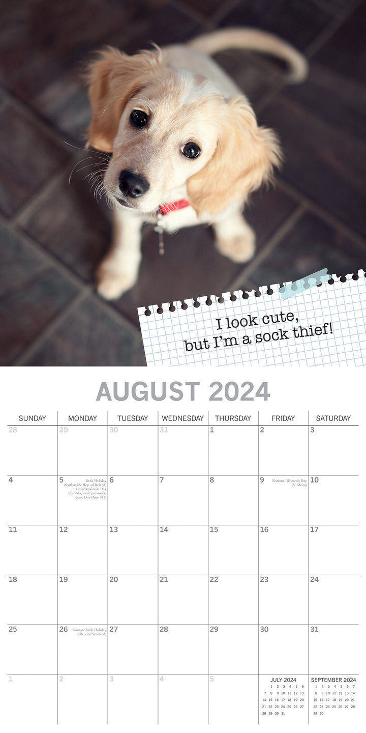 Dog Shaming - 2024 Square Wall Calendar Pets Animals 16 Months Premium Planner