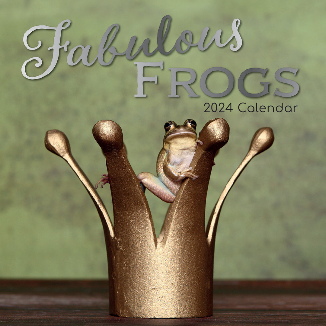 Fabulous Frogs - 2024 Square Wall Calendar Pets Animals 16 Month Premium Planner