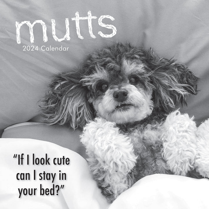 Mutts - 2024 Square Wall Calendar Pets Animals 16 Month Premium Planner New Year