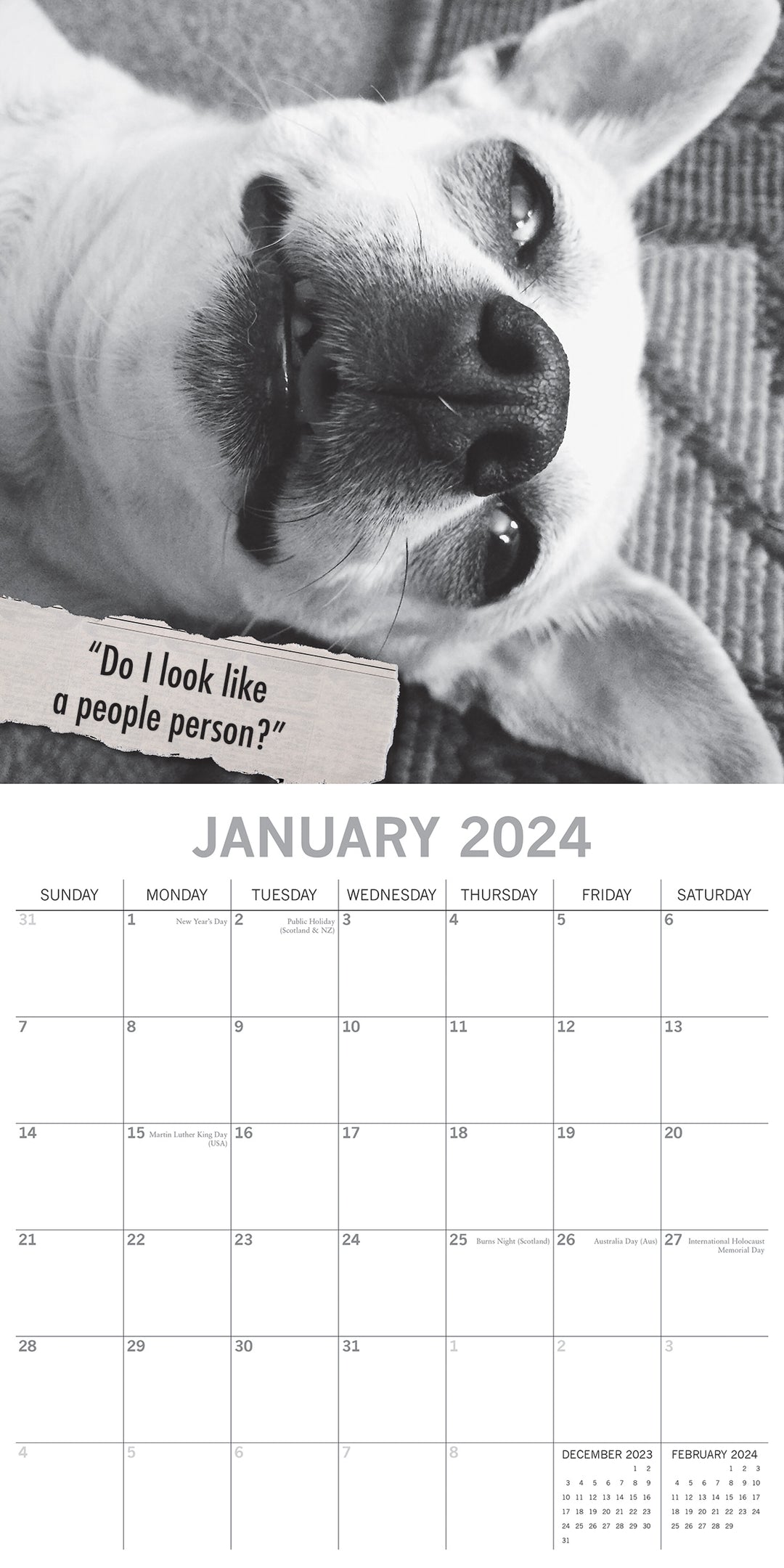 Mutts - 2024 Square Wall Calendar Pets Animals 16 Month Premium Planner New Year