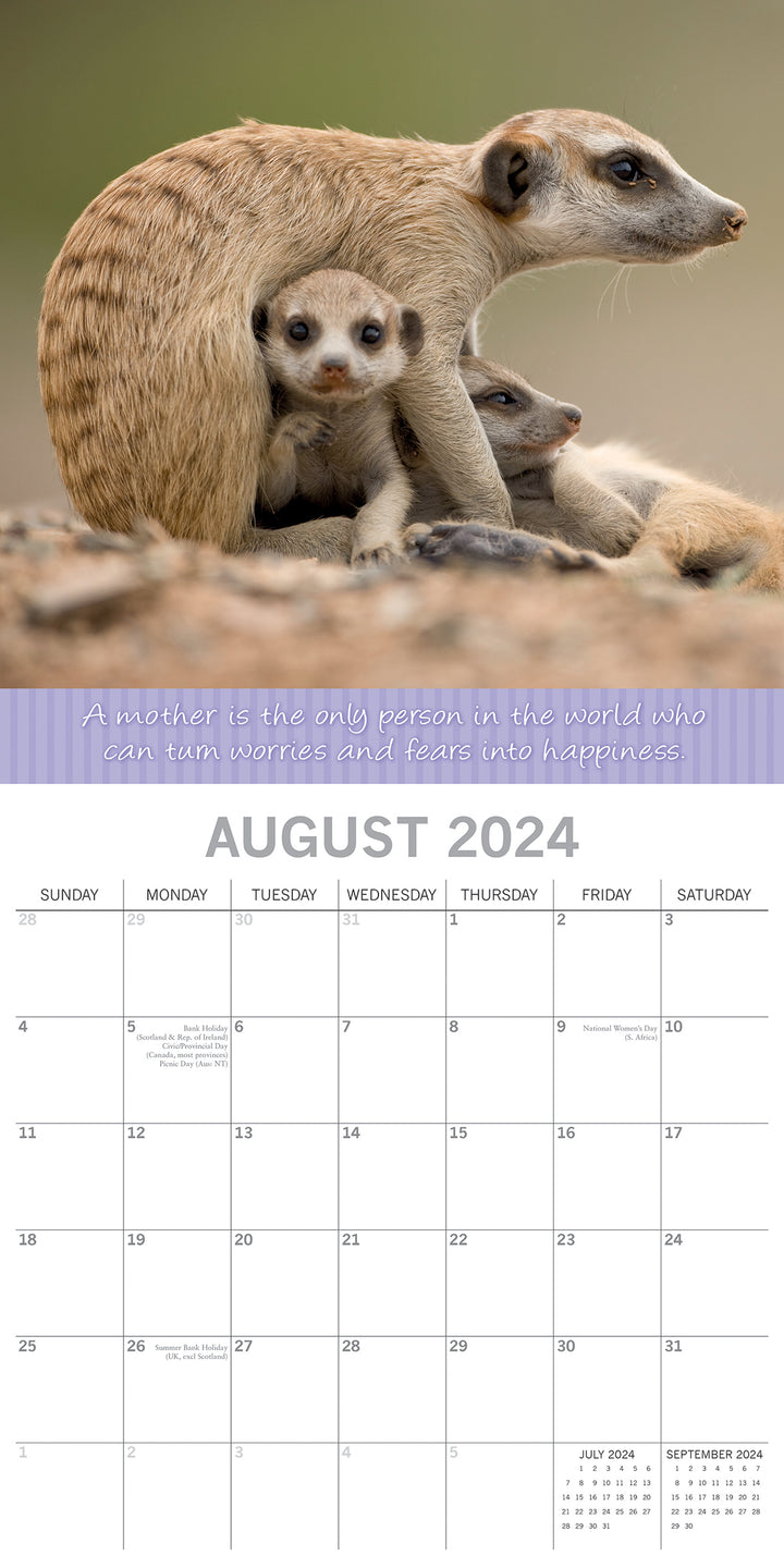 Mother's Love - 2024 Square Wall Calendar Pets Animals 16 Months Premium Planner