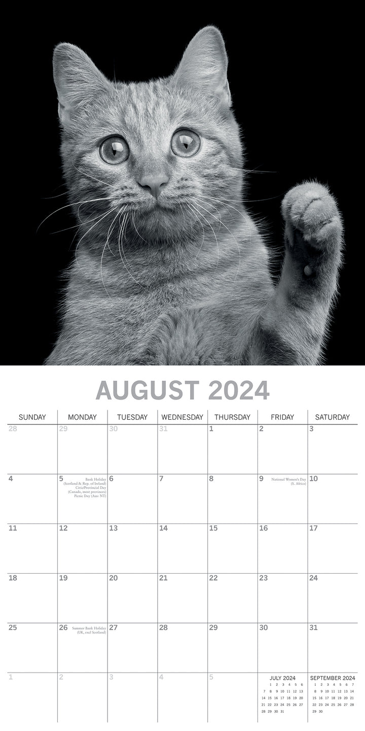 Cat Portraits - 2024 Square Wall Calendar 16 Months Black & White Planner Gift