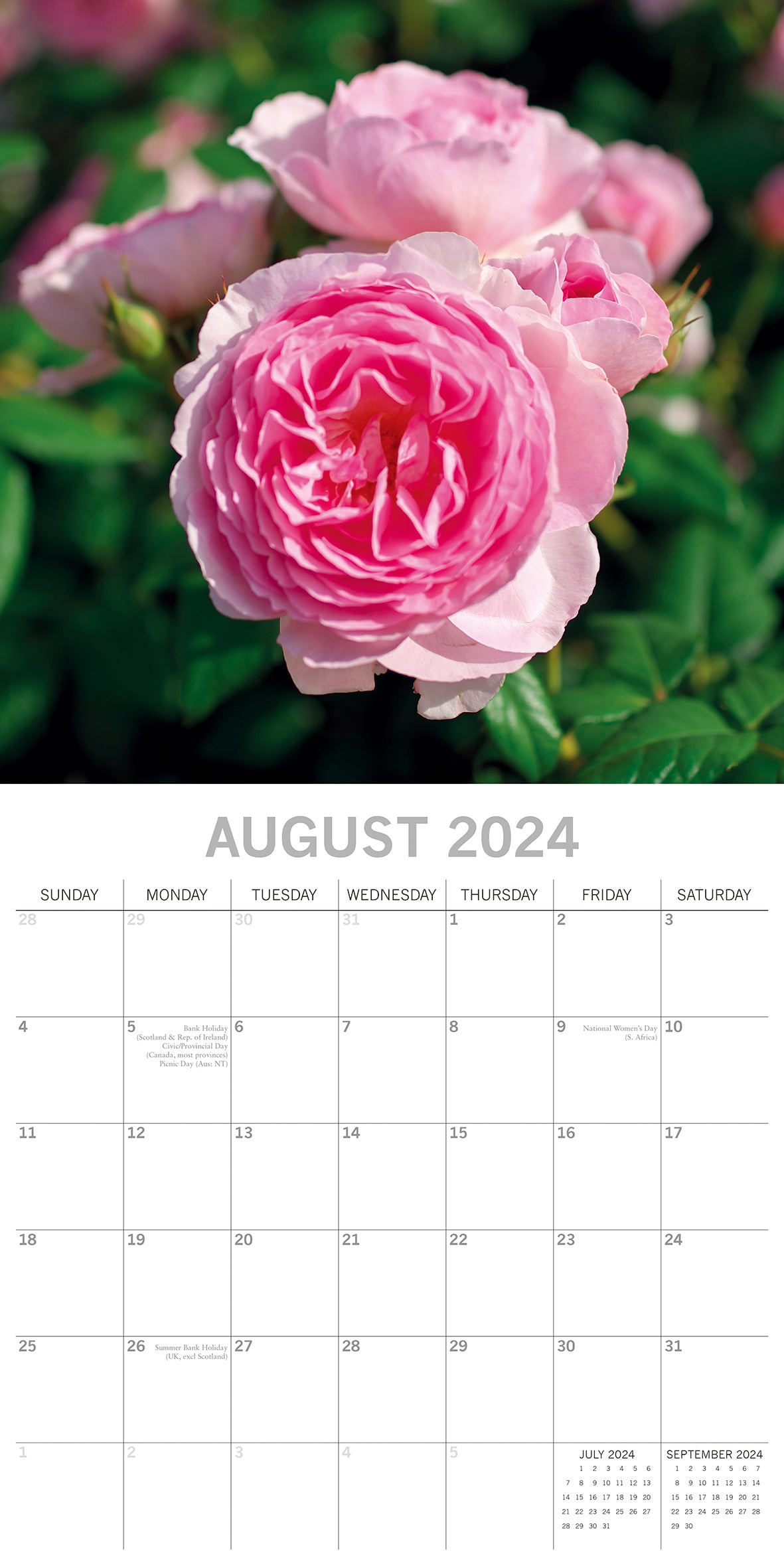 Roses 2024 Square Wall Calendar 16 Months Floral Planner Christmas New Year Gift