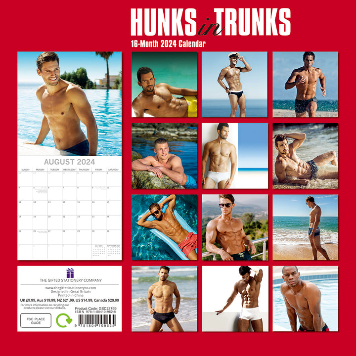 Hunks in Trunks - 2024 Square Wall Calendar 16 Months Planner Xmas New Year Gift