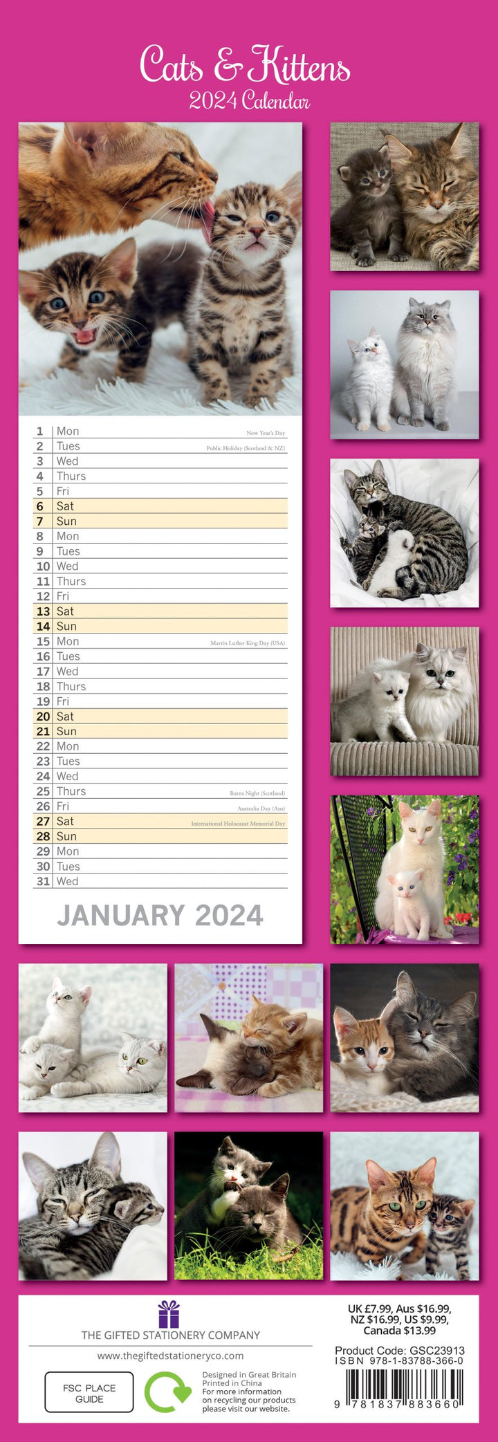 Cats & Kittens - 2024 Slimline Slim Wall Calendar Hanging Planner New Year Gift