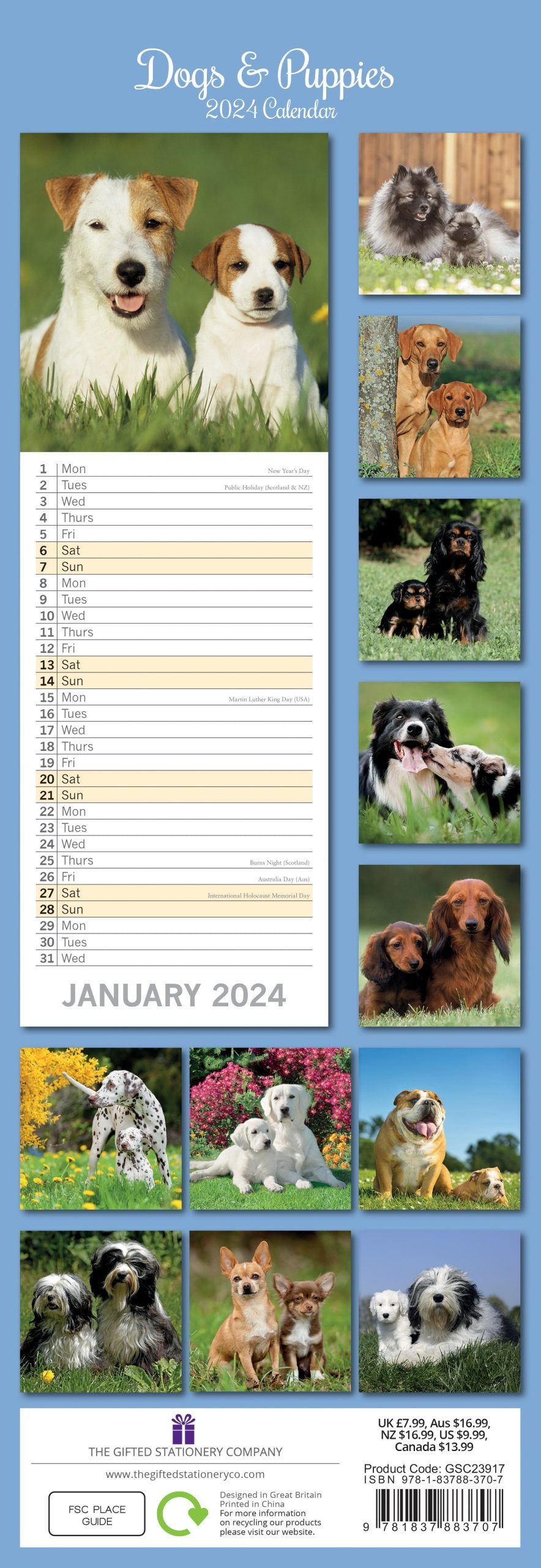 Dogs & Puppies - 2024 Slimline Slim Wall Calendar Hanging Planner New Year Gift