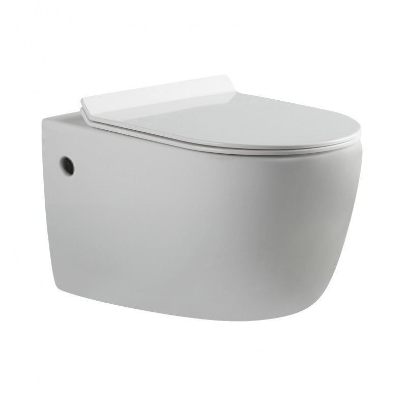 Alexander-R Rimless wall hung Pan