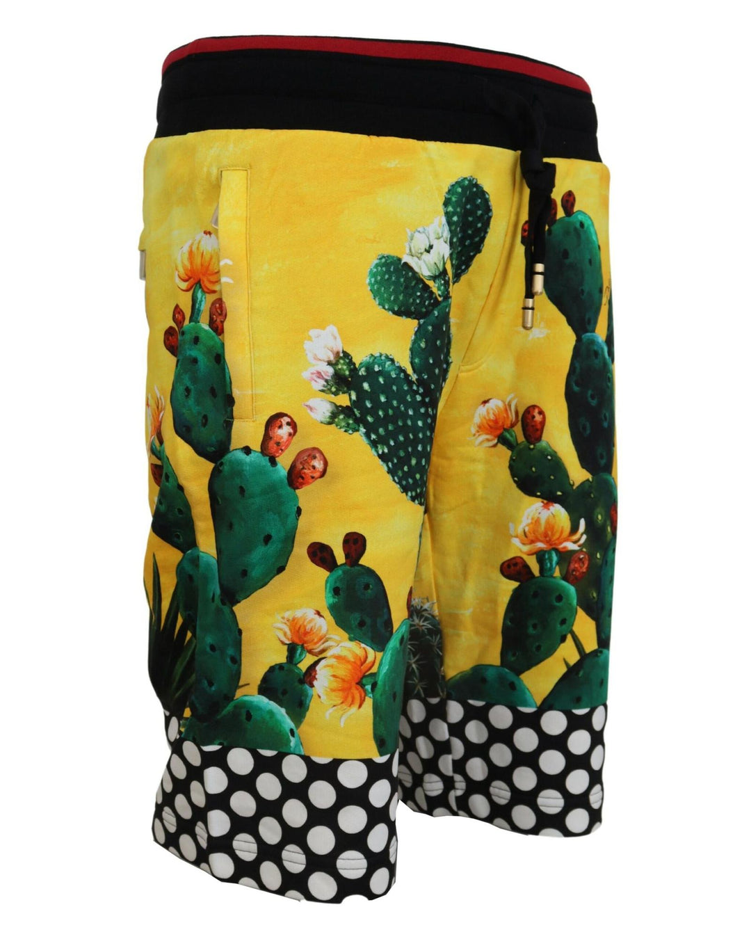 Authentic Dolce & Gabbana Multicolor Cactus Print Sweat Shorts 46 IT Men