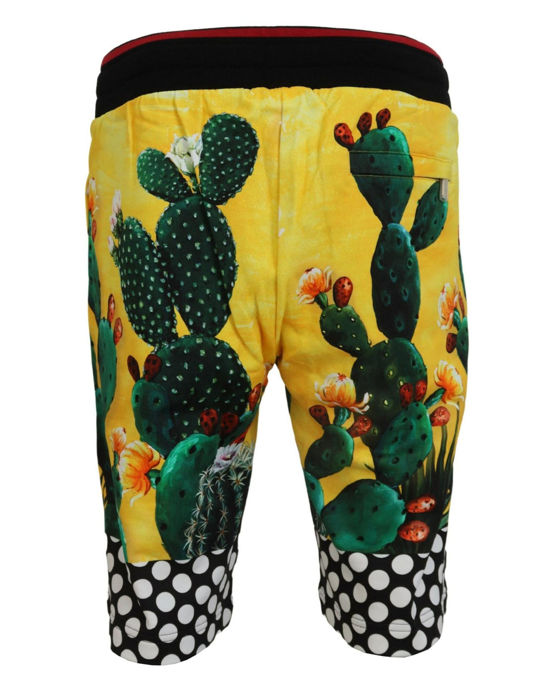 Authentic Dolce & Gabbana Multicolor Cactus Print Sweat Shorts 46 IT Men