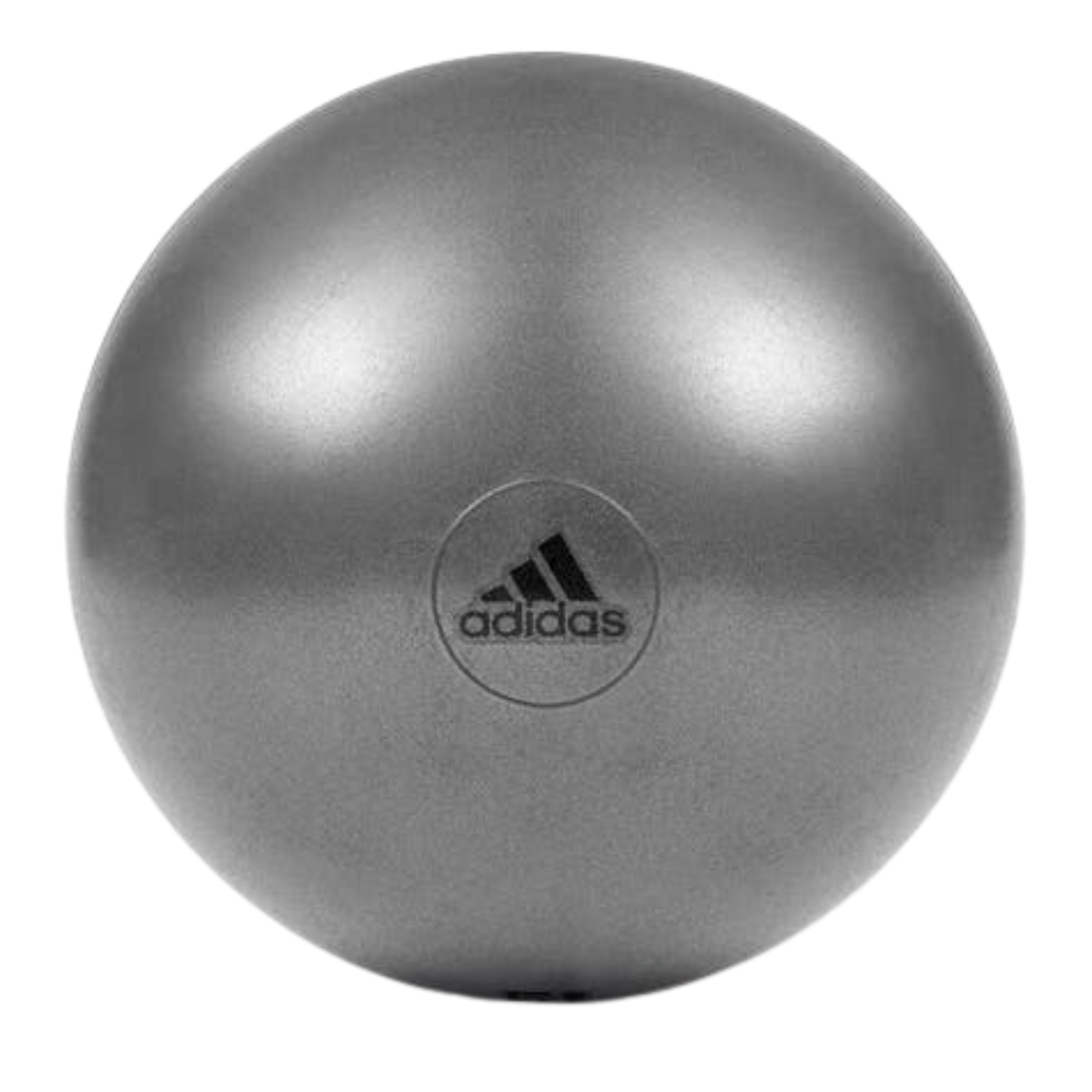 Adidas Gym Ball with Pump Exercise Yoga Fitness Pilates Birthing Training 55cm