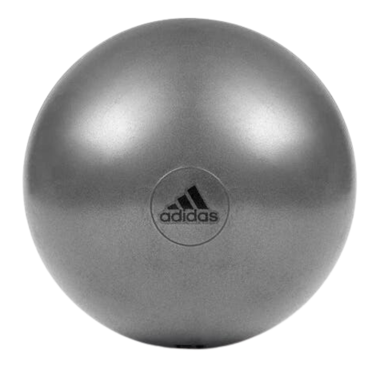 Adidas Gym Ball with Pump Exercise Yoga Fitness Pilates Birthing Training 55cm