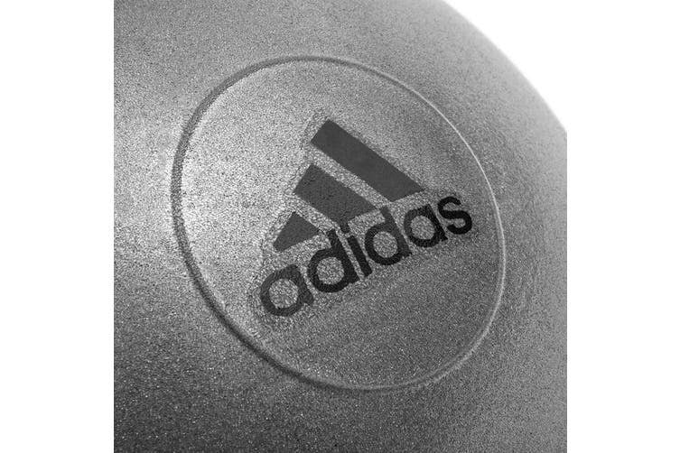 Adidas Gym Ball with Pump Exercise Yoga Fitness Pilates Birthing Training 65cm