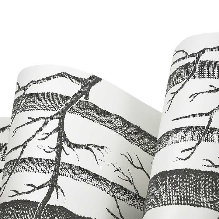 Wallpaper White Birch Tree Non-woven Wall Paper Roll