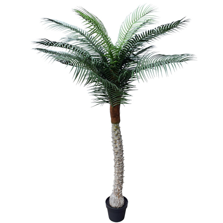 Tropical Phoenix Palm Tree 170cm UV Resistant