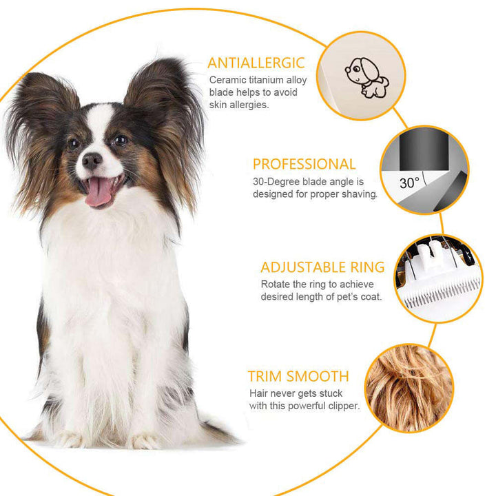 Pet Grooming Kit